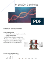 Lab8 ExtracciónADN