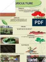 Verde y Negro Ilustrado Moda Sustentable Infografía