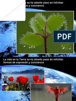 Dia Mundial de La Tierra