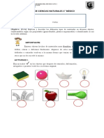 Guía de Ciencias Naturales Primero Básico