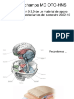 Neuroanatomia Encefalo 2022-10
