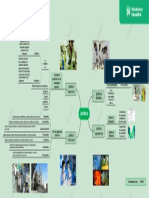 01 1.0 Actividad Mapa Divisiones de La Quimica