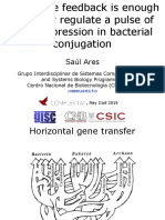 A Negative Feedback Is Enough To Tightly Regulate A Pulse of Gene Expression in Bacterial Conjugation