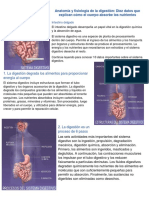 Anatomía y Fisiología de La Digestión