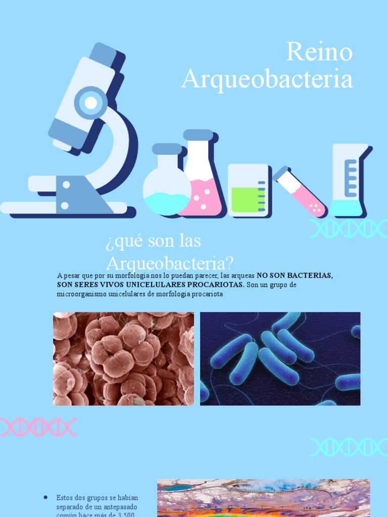 Características de las Arqueas Unicelulares | PDF | Archaea | Las bacterias