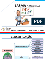 Citoplasma - Organelas Citoplasmaticas - Top. 2