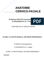 Le Nez Et La Cavité Nasale Et Les Sinus Paranasaux Schémas