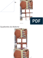 Anatomia Abdome Agudo