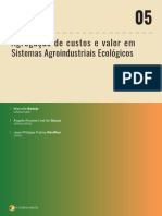 BADEJO, SOUZA, REVILLION, 2021 - Agregacao de custos e valor em sistema agroindustriais ecologicos