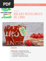 INFORME BOLSAS RECICLABLES DE LONA