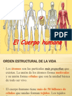 EL CUERPO HUMANO 1