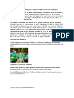 Sostenibilidad Ambiental y Embellecimiento de Espacios Publicos