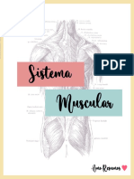 sistema-muscular-resumo-natalia-porto-3