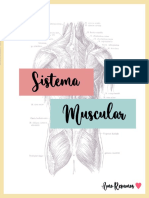 Sistema Muscular Resumo Natalia Porto 3