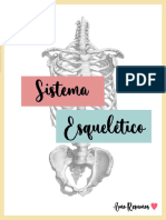 sistema-esqueletico-natalia-porto-2