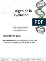Origen de Evolucion