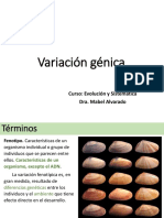 Variacion Genica