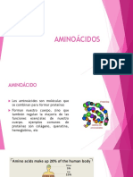 Amino Cidos