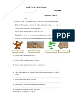 PRÁCTICA CALIFICADA Los Ecosistemas