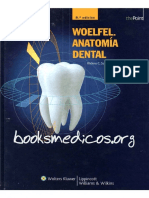 Anatomía Dental