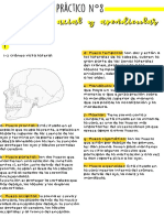 Práctico 8 Sobre El Esqueleto Axial y Apendicular