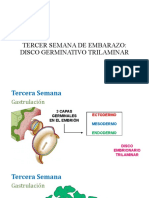 Embriologia 3ra Semana