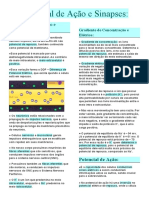 Resumo: Potencial de Ação e Sinapses 