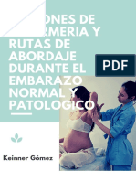 Acciones de Enfermería y Rutas de Abordaje Normal y Patológico