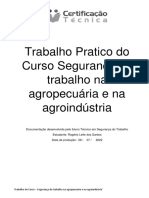Trabalho Pratico Do Curso Segurança Do Trabalho Na Agropecuária e Na Agroindústria (Certificação Técnica)