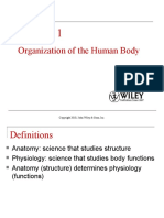 Organization of The Human Body