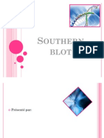 Southern Blot Exposé1