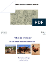 P8a Genetics Beja-Pereira African Domesticates