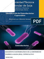 Practica 3 - 1 - Enterobacterias Coprocultivo