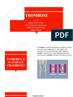 Trabalho Sobre Trombose