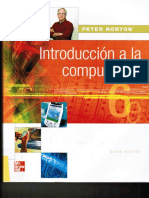 Introduccion A La Computacion