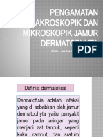 Pengamatan Jamur Dermatophyta Penyebab Infeksi Oleh Arnisa Ch. Ekayanti