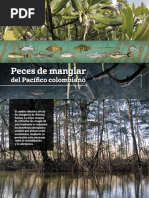 Castellanos-Galindo Et Al., 205. Peces en El Manglar