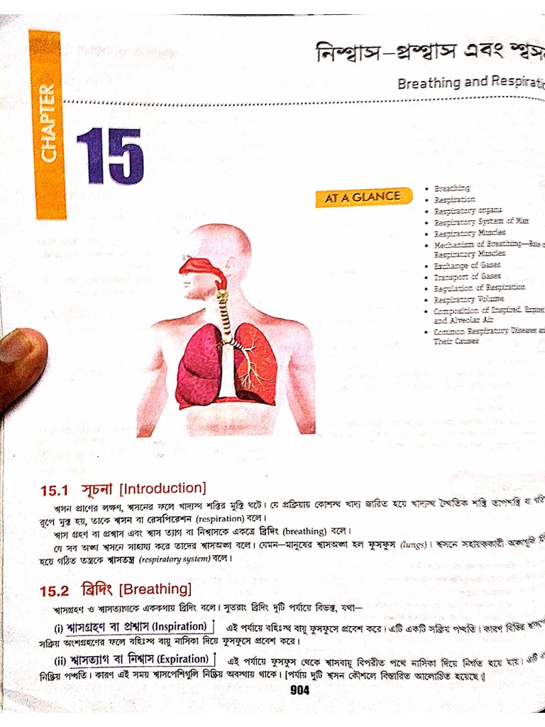 Respiratory System Bengali Santra NEET BIOLOGY PDF