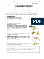 Tema 10 - Ciencia