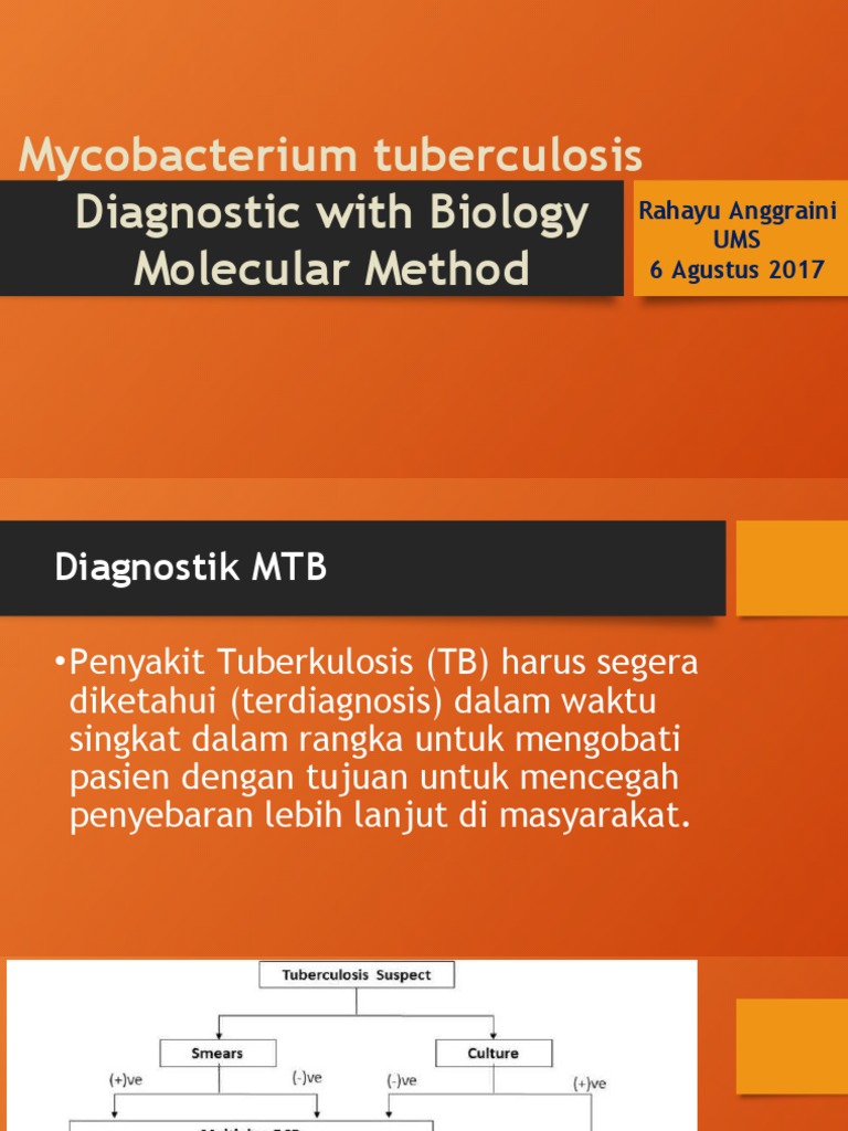 Mycobacterium Tuberculosis Diagnostic With Biology Molecular Method | PDF