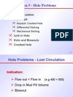 Lesson 5 - Hole Problems: Lost Circulation Stuck Pipe