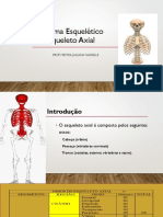 O esqueleto axial e seus principais ossos em