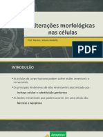 Alterações morfológicas nas células: necrose e apoptose