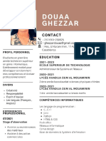 CV Professionnel