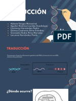 Exposición. Traducción Genetica