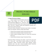 Bab II RSB Puskesmas Draft Ribang