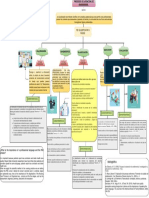 Mapa Conceptual