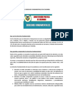 Abc Derechos Fundamentales en Colombia (1) (2079)