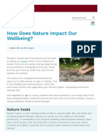 How Does Nature Impact Our Wellbeing?