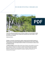 Silvicultura de Bosque - 2022